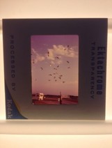 Vtg 1970 Flock of Sea Gulls RV Trailer Ocean Ektachrome Photograph Color Slide - £23.69 GBP