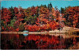 Postcard Pine Lake near Branchport New York (A7) - £3.83 GBP
