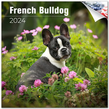 FRENCH BULLDOG Wall Calendar 2024 Animal DOG PET Lover Gift - $24.74