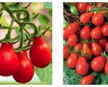 250mg Packet=90 Seeds Tomato Seeds Cherry Red Pear - $18.93