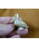 y-bir-pe-33) tan Pelican carving FIGURINE gem SOAPSTONE PERU bird love p... - £6.75 GBP