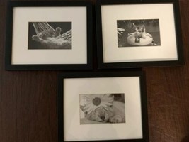 Lot Of 3 Cat Prints Framed &amp; Matted Artwork Pictures Of Kitty Cats - £22.64 GBP