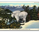 Mountain Goat Glacier National Park Montana UNP Linen Postcard S8 - £3.23 GBP
