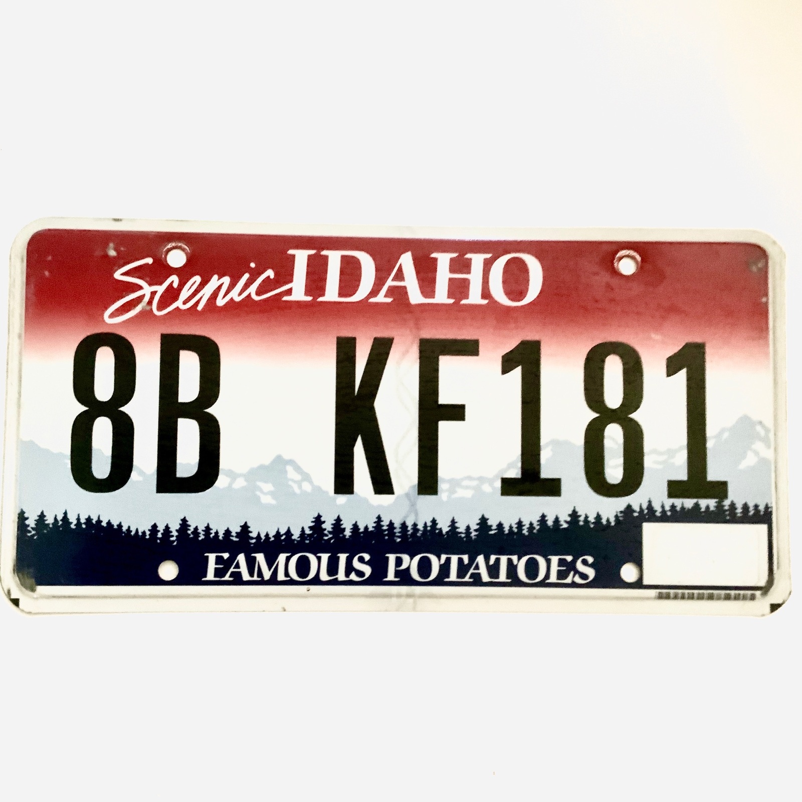 Untagged United States Idaho Bonneville County Passenger License Plate 8... - $10.88