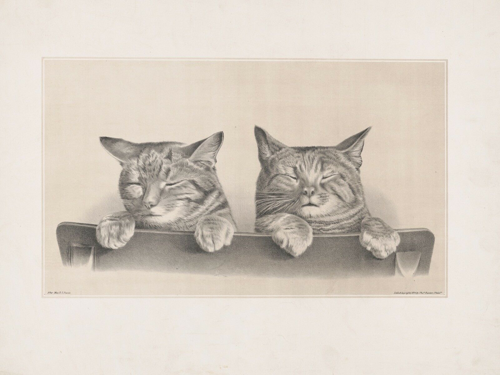 Decorative Poster.Interior wall art design.Drawing of kittens.Cat lover.11455