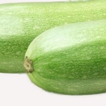 Fresh New Italian Squash Zucchini Seeds Fresh Garden Seeds USA Seller - £2.70 GBP