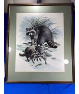 Framed Art - Amundsen - Baby Racoons Chasing Frog As Mother Racoon Watches - £55.52 GBP