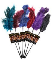 Sportsheets Ostrich Feather Ticklers - 6 Of Asst. Colors - £56.88 GBP