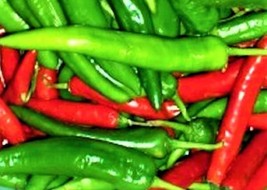 Cayenne Long Red Slim Pepper Seeds 50+ Seeds Non-Gmo Fresh Garden - £2.97 GBP