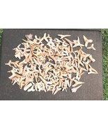 Natural Shark Teeth Fossils – Educational Fossil Set for Kids &amp; Shark Lo... - $48.78 CAD