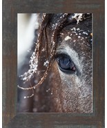 Horse Eye Wall Print in wood Frame - $57.63 CAD