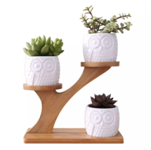 Decorative Ceramic pots - £25.57 GBP