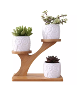 Decorative Ceramic pots - $43.57 CAD