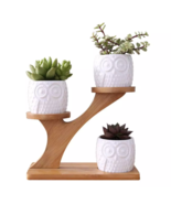 Decorative Ceramic pots - £24.99 GBP