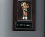 WAHOO McDANIEL PLAQUE WRESTLING WWF - $3.95