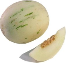 AQL 100 Seeds Snow Leopard Melon Seeds Gaya - $9.91