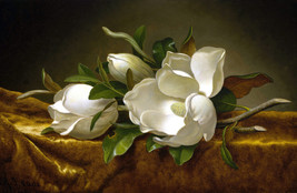 Art Giclee Printed Oil Painting Print Stillife white Magnolias - $8.59+