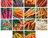 Carrot Seeds Collection NON-GMO 14 Varieties to Choose From  - £2.40 GBP
