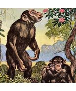 Chimpanzee Apes 1954 Art Print Paul Bransom Marlin Perkins Zooparade DWDD3 - $727.72 MXN