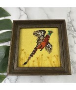 Vintage 70s Needlepoint Wall Art Picture Pheasat Bird Boho Cottage Decor - $519.13 MXN