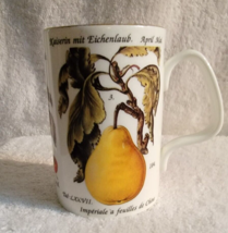 Staffordshire Coffee Teacup Cup Natural History Museum FRUIT THEME Bone ... - $10.00