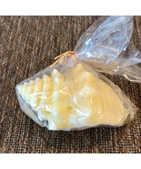 Pottery Barn BIG Ivory Sea Shell Conch Candle 3.5&quot; x 6&quot;  14 hrs burn NEW... - $13.77 CAD