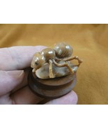 (tb-ins-6-1) tan Ant Tagua NUT figurine Bali detailed insect carving wor... - £34.20 GBP