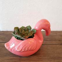 Pink Flamingo Planter with Succulent, live plant, Echeveria in Ceramic Bird Pot image 4