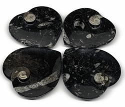 4Pcs, 4.8&quot;x4.7&quot; Small Heart Fossils Orthoceras Ammonite Bowls @Morocco, B8786 - £38.36 GBP