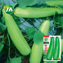 5 Bags 2G Bag Of Qinglong Cucumber Seeds Suitable Raw Consumption Pickli... - $18.88