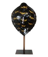 Nautical Marine Black Tone Faux Hawksbill Turtle Shell Sculpture With Po... - €120,11 EUR