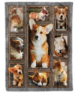 Cute Corgi Dogs Fleece Blanket Xmas Gift Funny Puppy Dog Lover Sherpa Bl... - $49.10 CAD+