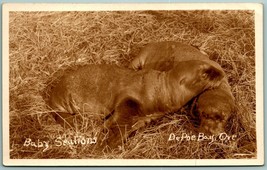 Rppc Bay Sea Lions Depoe Bay Oregon Or 1920 Db Postcard J14 - £14.29 GBP