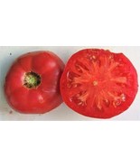 PPA 50 Seeds Royal Hillbilly Tomato Tomatoe Vegetable Garden Edible Canning - $6.48 CAD