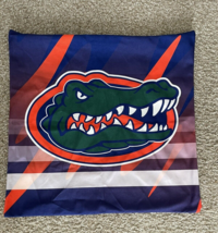 Florida Gators Throw Pillow Case - $15.00