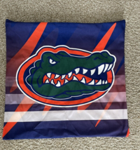 Florida Gators Throw Pillow Case - £11.20 GBP