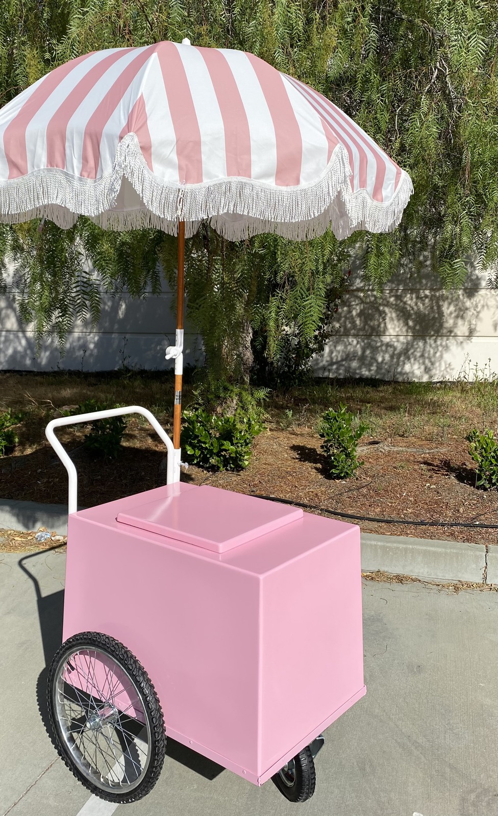 POPSICLES CART PINK MOBILE CART PALETAS FROZEN TREATS CART VENDING PINK ... - $3,820.00