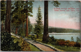 A Walk Through The Pines Near Tahoe Tavern Lake Tahoe CA Postcard PC672 - $39.99