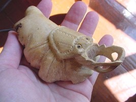 (q161) small shore CRAB or staghorn Beetle PARASITE WOOD carving FIGURINE - $17.53