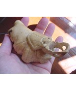 (q161) small shore CRAB or staghorn Beetle PARASITE WOOD carving FIGURINE - $333.19 MXN