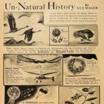 1937 Pods And Seeds Un-Natural History Popular Science Gus Mager Nature ... - $24.99