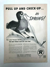 Vintage 1952 Texaco Print AD Art Spring Check Up Bird with Worm - $5.22