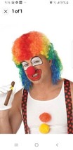 Rainbow Color Circus Clown Mullet Adult Costume Wig - $12.00