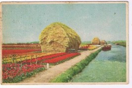 WWII Holland Postcard Haystack Military Postage Free Card from Soldier - $2.96