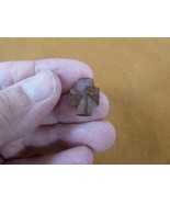 (CR593-111) 5/8&quot; Fairy Stone CHRISTIAN CROSS oiled Staurolite Crystal MA... - $16.99
