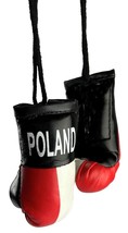 Mini BOXING Gloves - POLAND Country Pride POLSKA National Flag MMA Car D... - $128.03 MXN