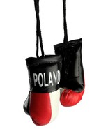 Mini BOXING Gloves - POLAND Country Pride POLSKA National Flag MMA Car D... - $6.99