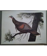 John A. Ruthven &quot;Eastern Wild Turkey&quot; Limited Edition - 923/1000 - Signe... - $677.01 CAD