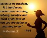 &quot;SUCESS IS NO ACCIDENT. IT IS HARD WORK, PERSEVERANCE....&quot; QUOTE PUBLICI... - $9.67
