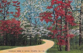 Dogwood Trees Atlanta Georgia GA Postcard C35 - £2.38 GBP